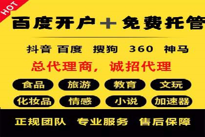 谷歌竞价广告在旅游行业的成功营销案例