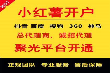 行业领先企业的SEM竞价代运营案例解析
